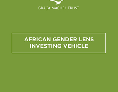 Women's Investment Vehicle Summary