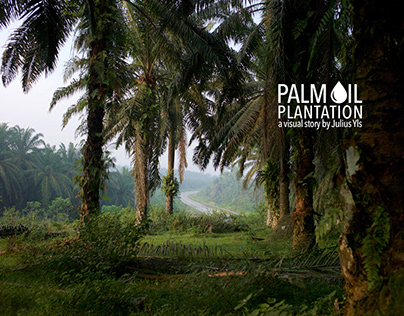 PALM PLANTATION - MALAYSIA