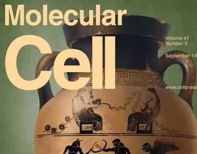 Molecular Cell cover art
