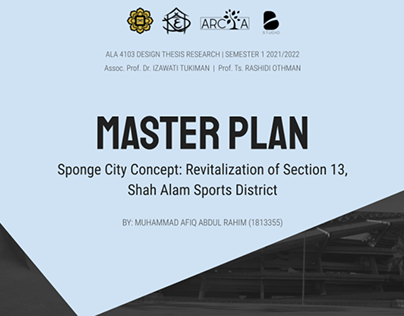 Year 4, Sem 2: Sponge City Concept Masterplan