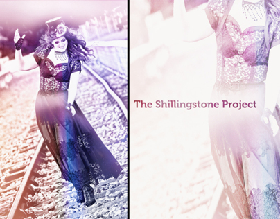 Shillingstone Project