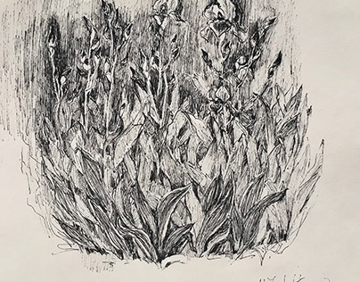 Fleur-de-lis, 2015 Pen, 18x25