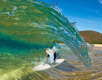 Surfing Midas