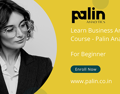 Learn Business Analytics Course - Palin Analytics