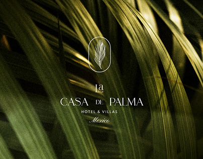 La casa de Palma | Branding & web design