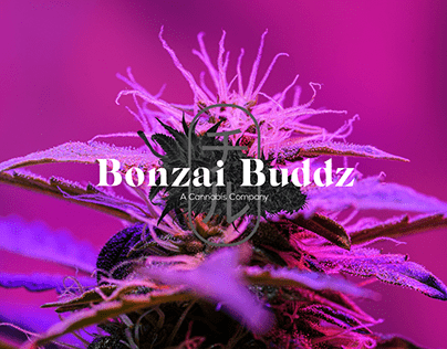 Bonzai Buddz: A Cannabis Company
