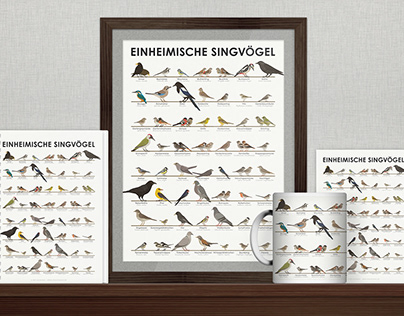 Identification Chart for European Songbirds