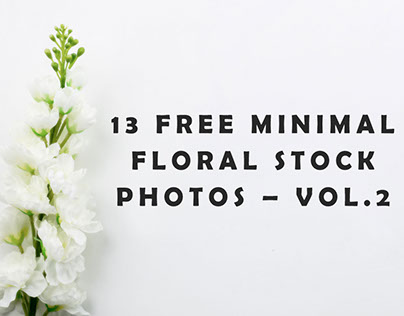 13 Free Minimal Floral Stock Photos – Vol.2