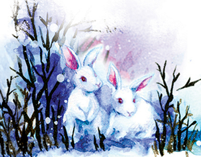 Snow White Hares
