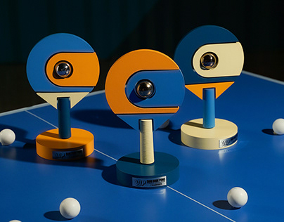 Dani Dude Pong Prize - Product Design