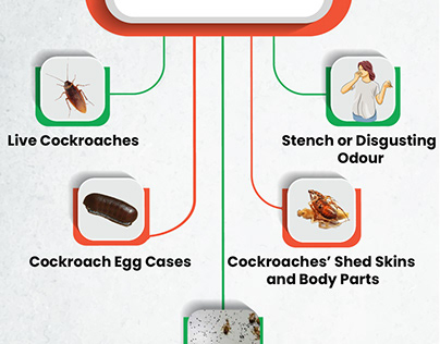 What are the signs of a cockroach infestation?