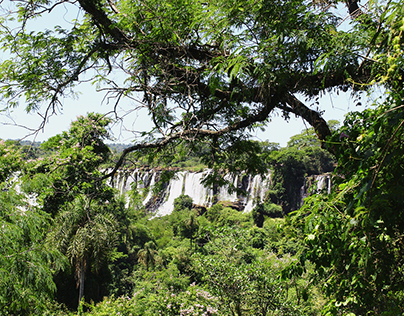 Video de uma Sessāo de Fotos nas Cataratas do Iguaçu