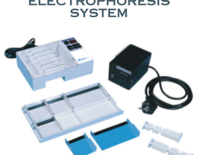 Mini Electrophoresis System