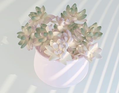 Succulent flower in potter 3D Model