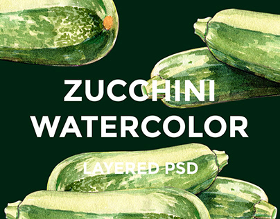 Zucchini watercolor illustrations