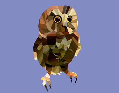 Owl Bird Low Poly