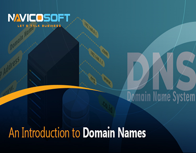 An Introduction to Domain Names