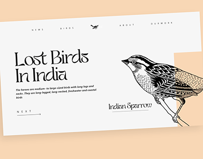 Web design for a company that supports Lost Birds