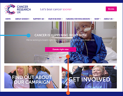 Evaluating Interactive Systems - Cancer Research UK