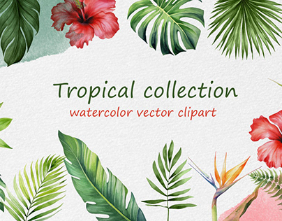 30+ Watercolor tropical plants - vector illustration