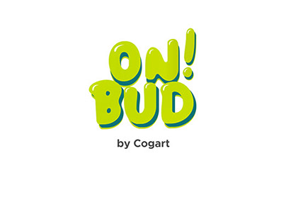 OnBud - First Steps to Digital Literacy