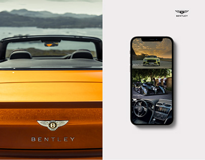 Bentley - redesign/concept website