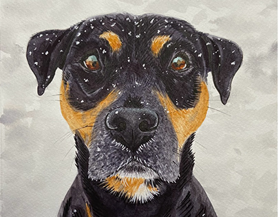 Baxter, a watercolor portrait