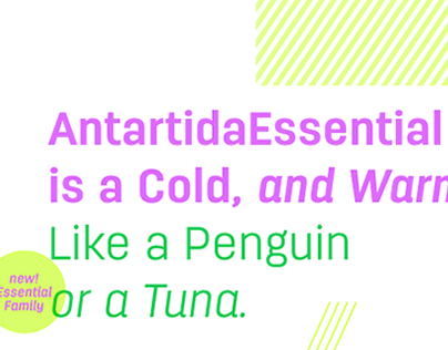 Antartida Essential