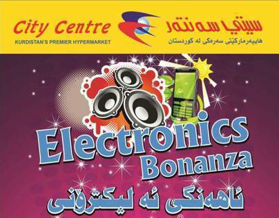 electronics bonanza (2)
