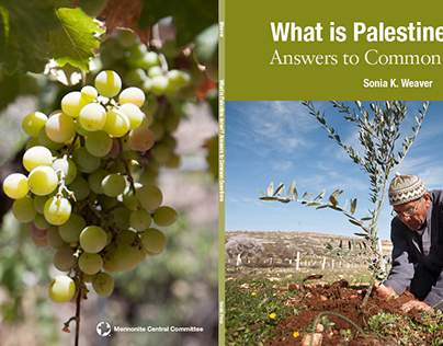 What is Palestine-Israel?