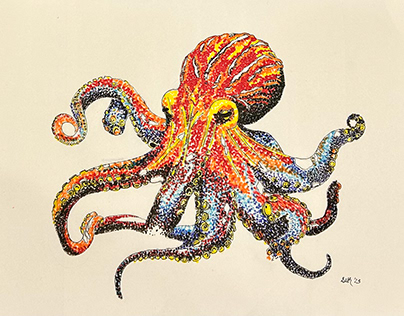 Octopus in primary colours
