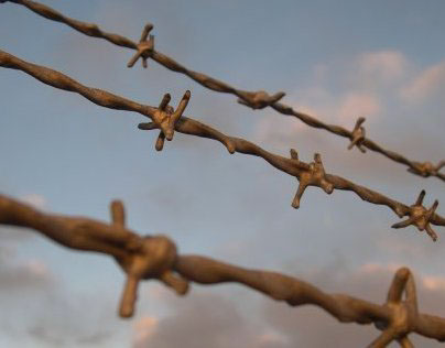 barbed wire sunset