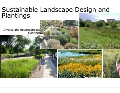 Sustainable Landscape Design and Plantings