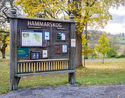 Hammarskogs naturreservat