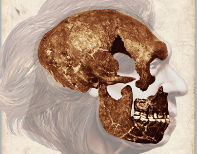 Homo neanderthalensis - La Quina (Book Project)