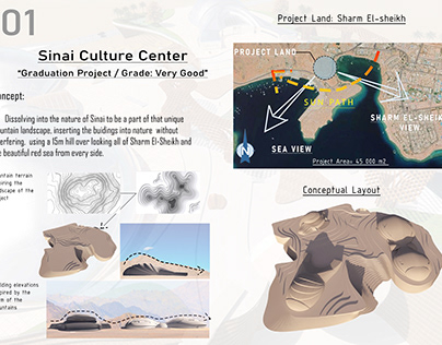 Project thumbnail - Graduation Project - Sinai Culture Center