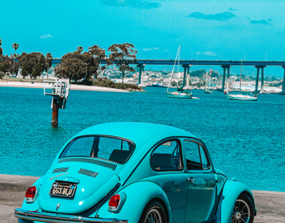 San Diego Beetle Blue