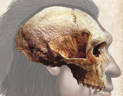 Homo heidelbergensis - Petralona (Book Project)
