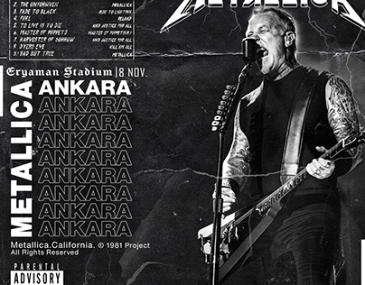 Metallica Concert Post | Banner