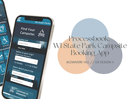 WI State Park Camping App Processbook