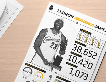 LeBron James Career Infographic