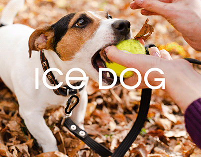 "ICE DOQ" ammunition for dogs