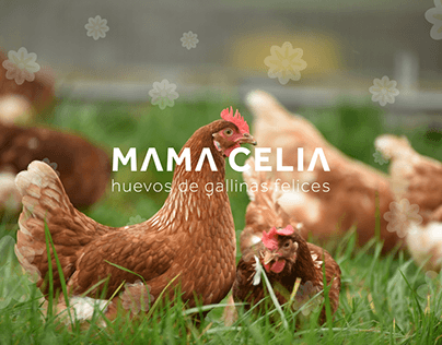 Branding - Mama Celia