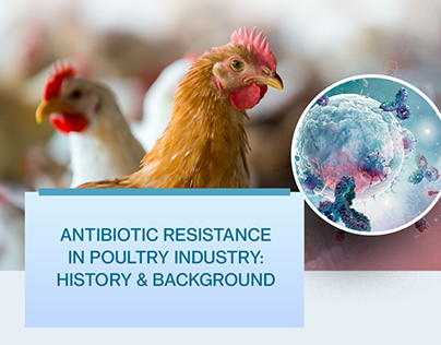 Growing Threat of Antibiotic Resistance in the Poultry