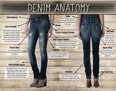 Denim Anatomy