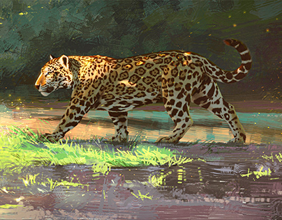 Onça-pintada/Jaguar/Juma-Marruá