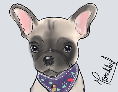 bulldog francés ilustración