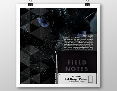Field Notes Three Ad Campaign