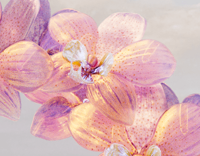 Crystallized Fascination: 3D glass/chrome orchids