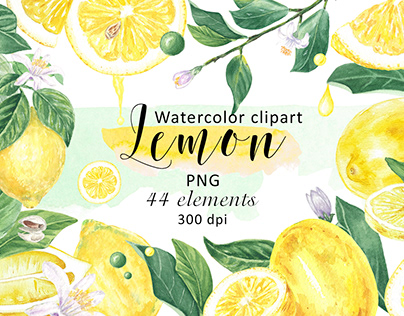 Watercolor Clipart Lemon and Flowers